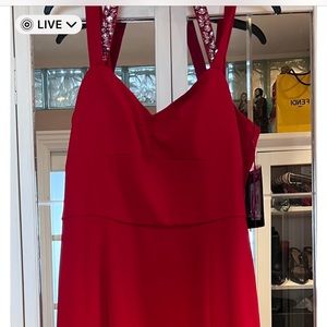 Long red Dress Size 12 never worn